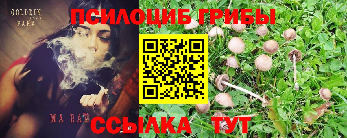 Псилоцибиновые грибы ЛСД Холмск