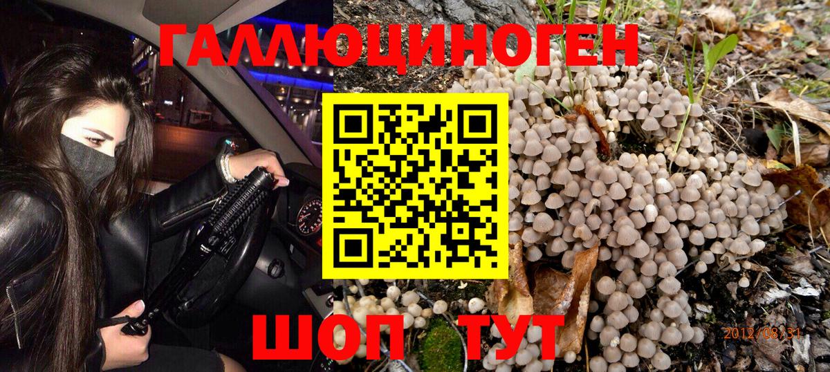 Холмск  Псилоцибиновые грибы GOLDEN TEACHER  Вход с VPN 